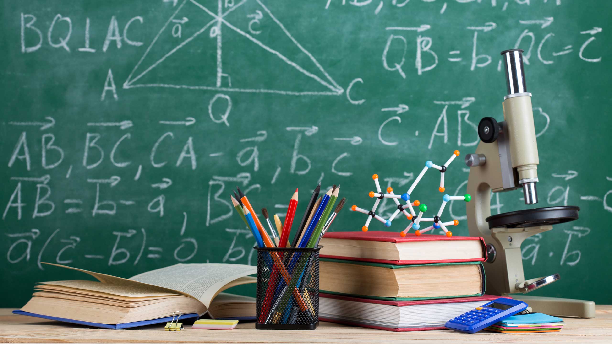 Neustart Bildungswesen